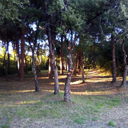 Enjoy The Best Of Countryside Лейрия Экстерьер фото